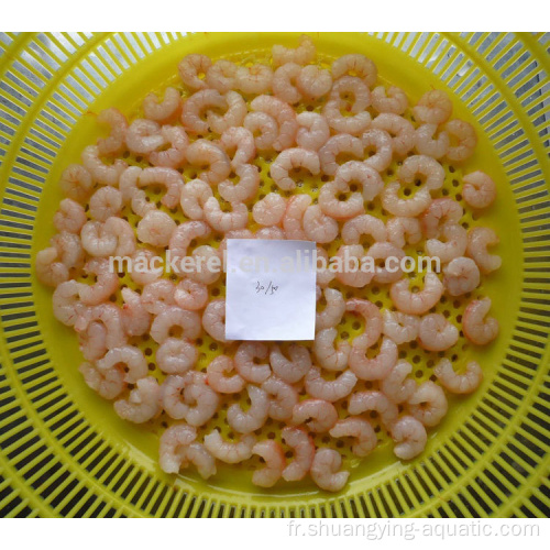 Frozen Red Shrimp Pud Taille 100200 pour le marketing